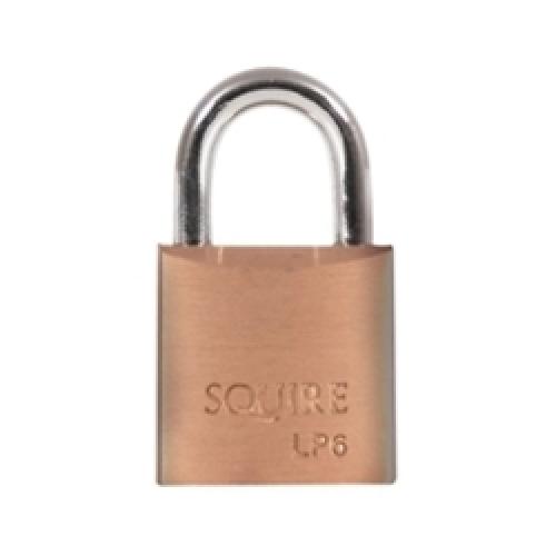 Leopard Brass Padlocks