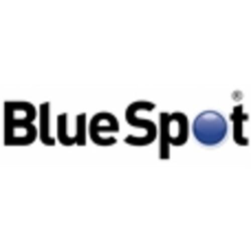 Blue Spot